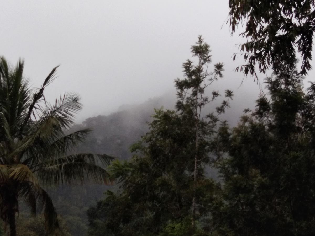 Bandekallu Homestay Chikmagalur Exterior photo